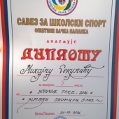 диплома