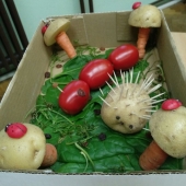 прелепа јесен у шуми