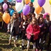 Садња дрвета генерације