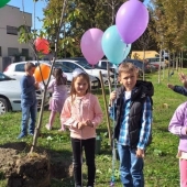 1.разреди посадили смо дрво 
генерације