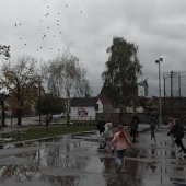 За радост мало треба